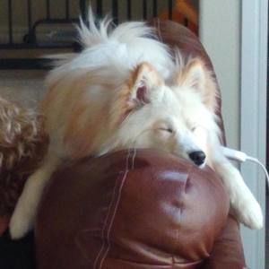 Meet your Posher, Donna